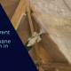 polyurethane insulation in pakistan | polyurethane foam liquid price in pakistan | wall insulation pakistan | polyurethane foam in karachi | diamond jumbolon spray | lcs waterproofing solutions | lakhwa chemical services