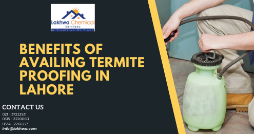 termite proofing in lahore | deemak control in lahore lahore | pest termite control lahore | demak spray in lahore | termite control medicine | lcs waterproofing solution | lakhwa chemical services