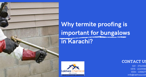 termite proofing | termite proofing meaning in urdu | termite proofing in karachi | termite proofing materials names | termite control chemicals in pakistan | lcs waterproofing solutions | lakhwa chemical services
