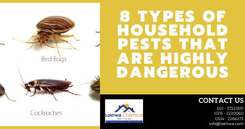types of household pests | household pest control | list of household pests and diseases caused by them | types of pests | household pest pdf | lcs waterproofing solutions