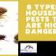 types of household pests | household pest control | list of household pests and diseases caused by them | types of pests | household pest pdf | lcs waterproofing solutions