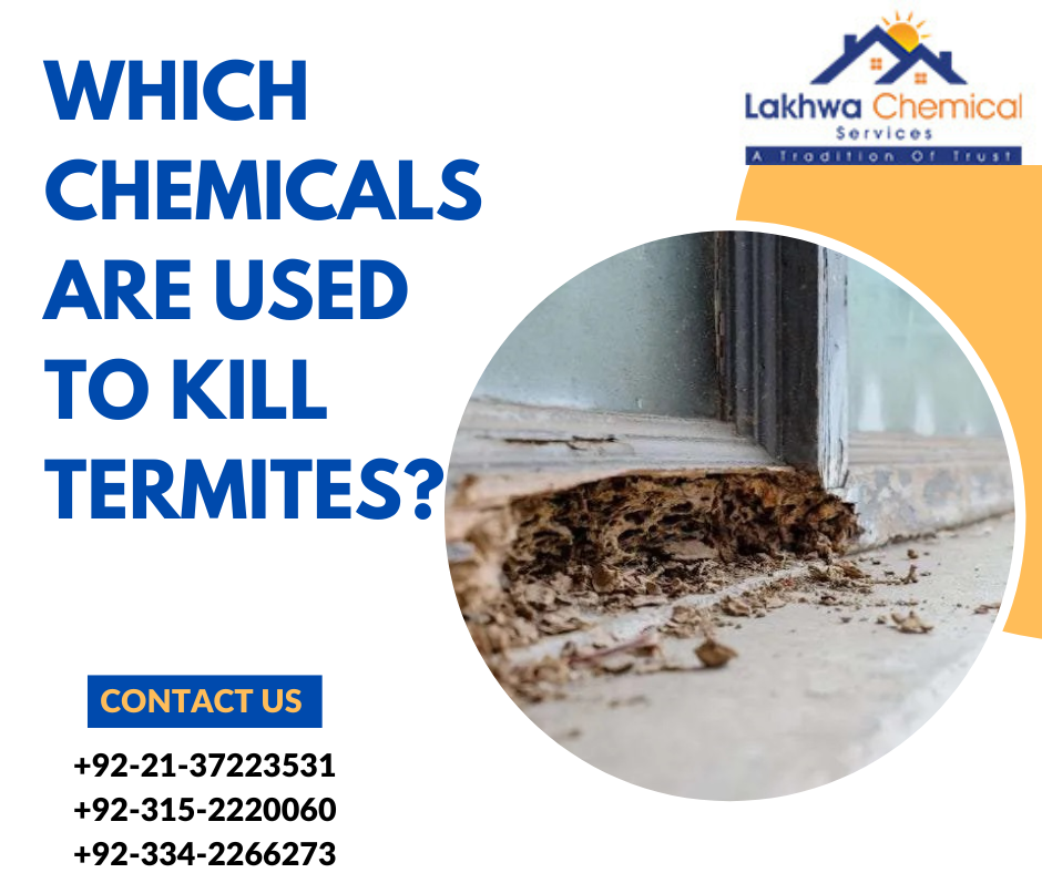Kill Termites